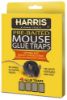 Picture of Mouse-Trap Glue-Trap