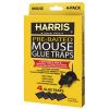 Picture of Mouse-Trap Glue-Trap