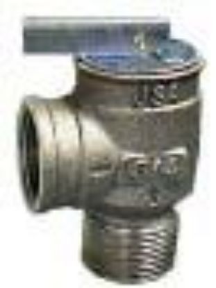 Picture of Relief-Valve Tankless Water-Heater 3/4" M X F