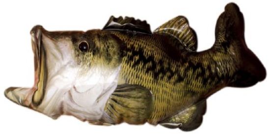 Picture of Infaltable Bass