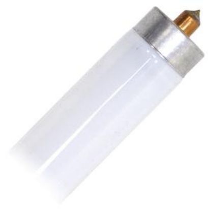 Picture of Light-bulb Fo96t8 8ft Fluorescent Cool-white Eco