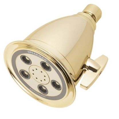 Picture of Shower-Head The Anystream® Hotel 50 Spray Polished-Brass