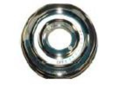 Picture of Safetemp Shower Plate