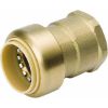 Picture of 1/2" X 1/2" Push-on Female-adapter C X Fpt