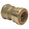 Picture of 1/2" X 1/2" Push-on Female-adapter C X Fpt
