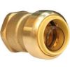 Picture of 1/2" X 1/2" Push-on Female-adapter C X Fpt