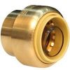 Picture of 3/4" Push-on Cap Brass Dismountable