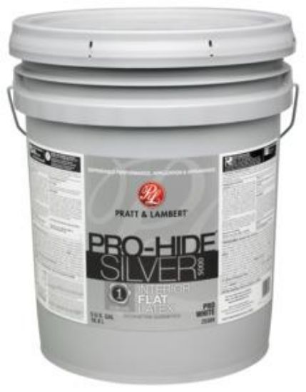 Picture of Latex-paint Pro White