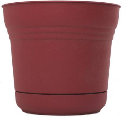 Picture of 5" Saturn Planter Union Red
