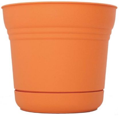 Picture of Planter 5"- Tequila Sunrise