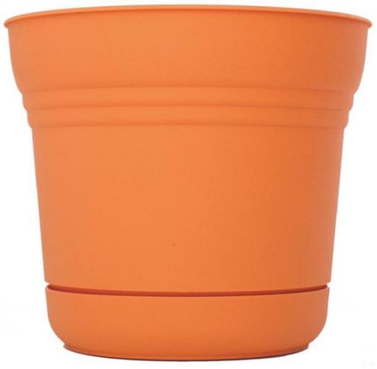 Picture of Planter 5"- Tequila Sunrise