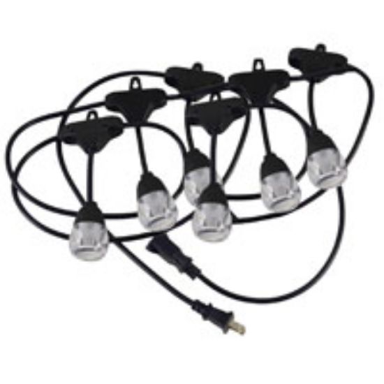 Picture of Light String24bulb 1920 L