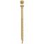 Picture of Trim Screw #8 x 3-1/8"