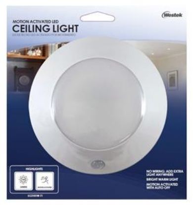 Picture of Light-Fixture Ceiling-Mount 3 C Batteries 125 Lumens Motion-Sensor Sensing
