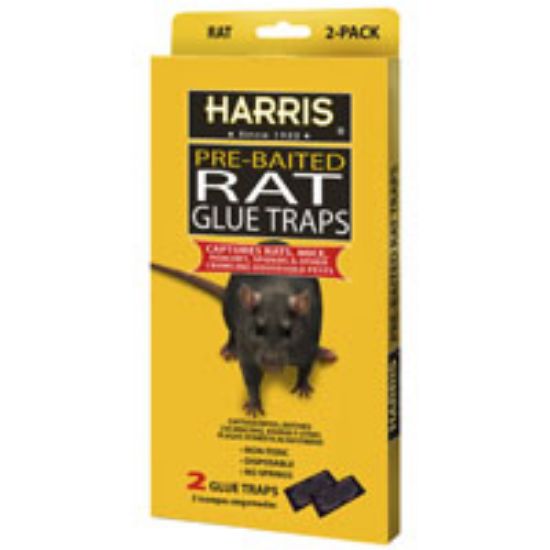 Picture of Mouse-trap Glue-trap 9.45 In H X 10.24 In W X 5.91 In D Plastic