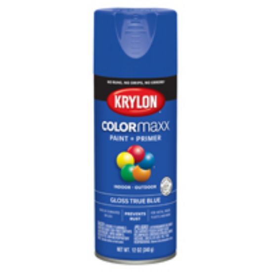 Picture of Paint-&-Primer Indoor-&-Outdoor GlossTrue Blue