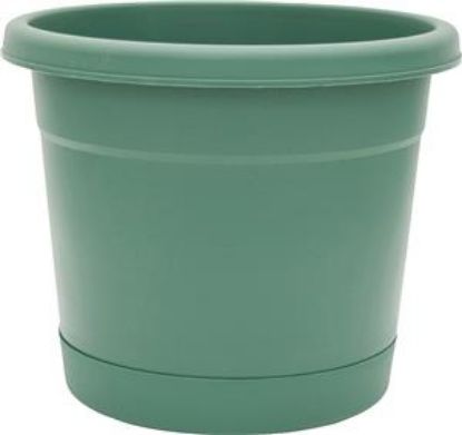 Picture of Plant-Pot Plastic Rolled-rim Fern 6" X 5-1/2"