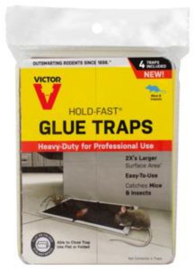 Picture of Glue Traps Mice And Insects Disposable Foldable Pre-baited Pack/4