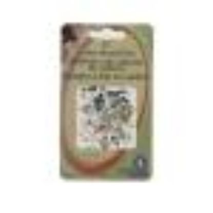 Picture of Straight-pins Colored-head