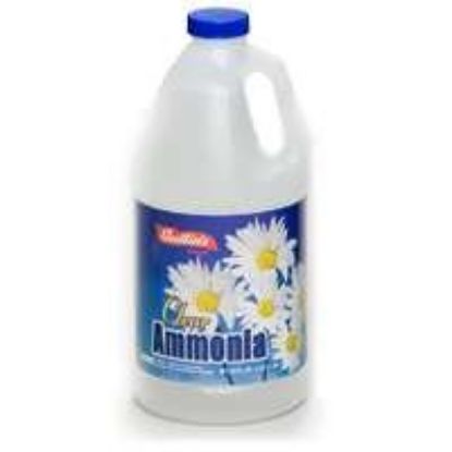 Picture of Clear Ammonia