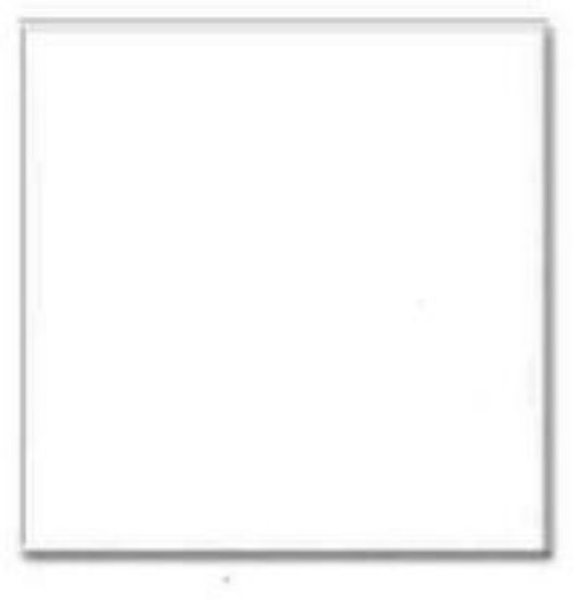 Picture of 1PK BLNK2Up Signmaker