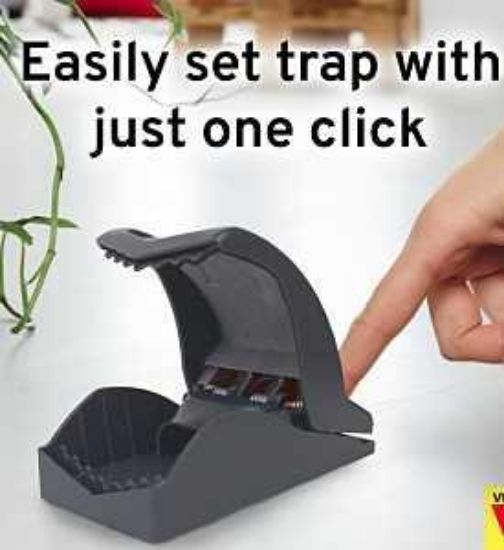 Picture of Rat-trap Snap