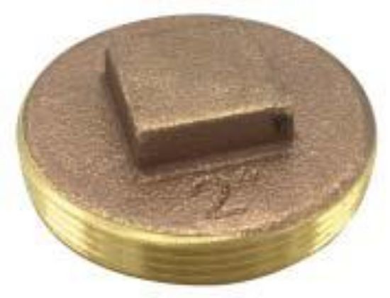 Picture of 1.500" Clean-Out-Plug Raised Head