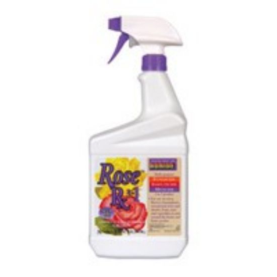 Picture of Rose Rx 3-in-1