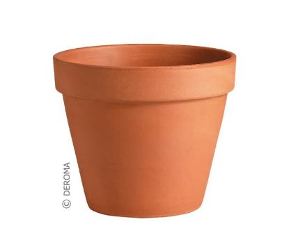 Picture of Plant-Pot Standard Cm 21 (8.3")