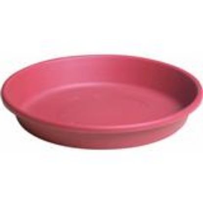 Picture of Plant-Saucer Plant Poly Color Terra-Cotta 12"