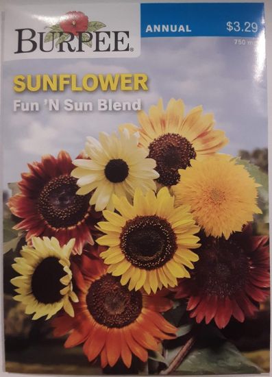 Picture of Sunflower Fun N Sun Blend