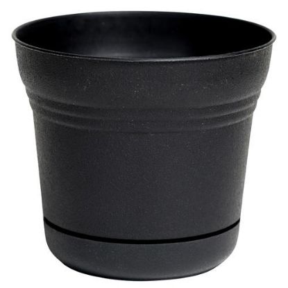 Picture of Plant-pot Plastic Integrated-saucer Black 12"