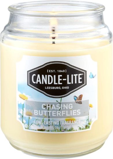 Picture of Jar-Candle Everday Chasing Butterflies Scented Candle, 18 Oz. Aromatherapy Candle, Off-white