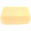 Picture of Oval Sponge