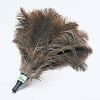Picture of Ostrich-feather Duster