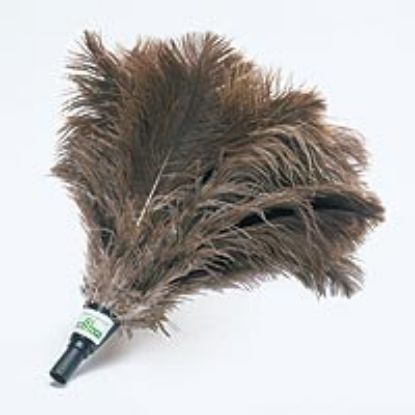 Picture of Ostrich-feather Duster
