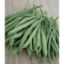Picture of Stringless Garden Bean Seeds
