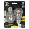 Picture of Bulb Fil A15 Sw Clr 2700k 75w