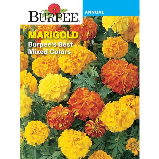 Picture of Marigold Burpee's Best Mixed Colors