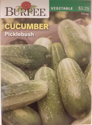 Picture of Cucumber Picklebush