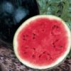Picture of Watermelon Bush Sugar Baby