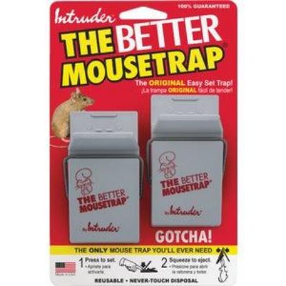 Picture of Snap-trap Mouse
