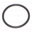 Picture of O-Ring 1/16" Thick 7/8" ID 1" OD