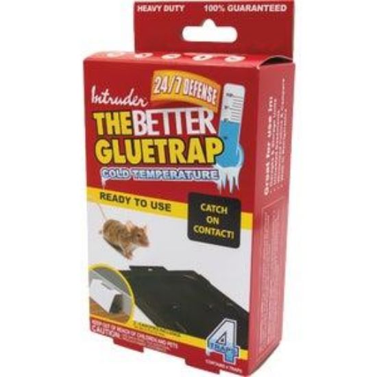 Picture of Glue-trap Cold-weather