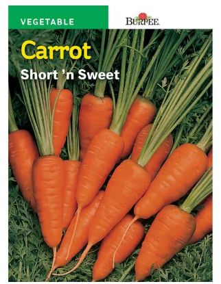 Picture of Carrot Seed, Short And Sweet