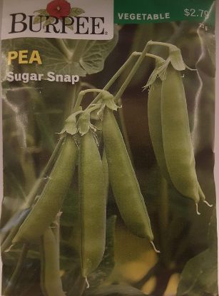 Picture of Sugar Snap Pea Seeds