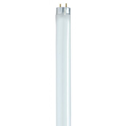 Picture of Satco F17t8/841/env Medium Bi-pin Base
