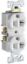 Picture of Electrical-outlet Duplex-receptacle 20-amp 125-volts White