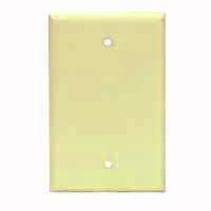 Picture of Wall-plate Blank Thermoset
